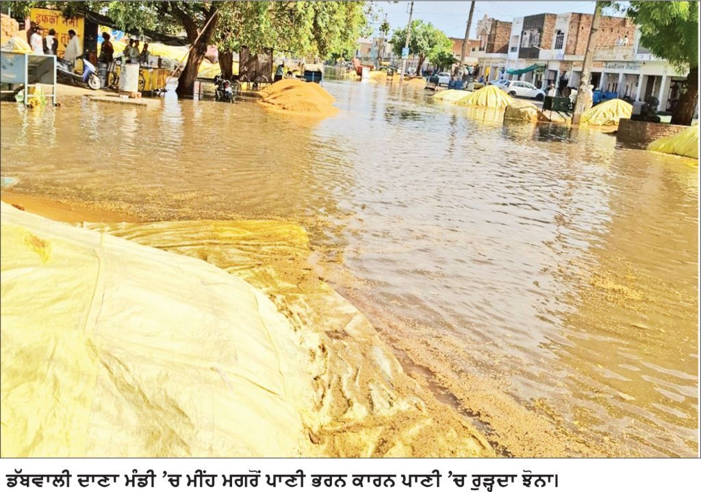 ਡੱਬਵਾਲੀ ’ਚ ਤੇਜ਼ ਮੀਂਹ ਨੇ ਖੋਲ੍ਹੀ ਖ਼ਰੀਦ ਪ੍ਰਬੰਧਾਂ ਦੀ ਪੋਲ, ਅਨਾਜ ਮੰਡੀ ਵਿਖੇ ਪਾਣੀ ’ਚ ਰੁੜ੍ਹਿਆ ਝੋਨਾ