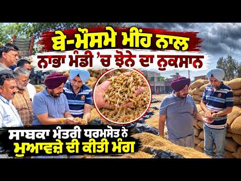 ਬੇ-ਮੌਸਮੇ ਮੀਂਹ ਨਾਲ ਨਾਭਾ ਮੰਡੀ ’ਚ ਝੋਨੇ ਦਾ ਨੁਕਸਾਨ, ਸਾਬਕਾ ਮੰਤਰੀ ਧਰਮਸੋਤ ਨੇ ਮੁਆਵਜ਼ੇ ਦੀ ਕੀਤੀ ਮੰਗ