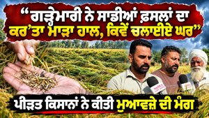 ‘‘ਗੜ੍ਹੇਮਾਰੀ ਨੇ ਸਾਡੀਆਂ ਫ਼ਸਲਾਂ ਦਾ ਕਰ’ਤਾ ਮਾੜਾ ਹਾਲ, ਕਿਵੇਂ ਚਲਾਈਏ ਘਰ’’