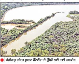 ਸੁਖਨਾ ਵੈੱਟਲੈਂਡ ਨੂੰ ਮਿਲਿਆ ਕੌਮਾਂਤਰੀ ਰੁਤਬਾ ਅੰਤਰਰਾਸ਼ਟਰੀ ਰਾਮਸਰ ਸੂਚੀ ’ਚ ਸ਼ਾਮਿਲ