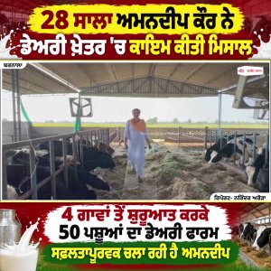 28 ਸਾਲਾ Amandeep Kaur ਨੇ ਡੇਅਰੀ ਖ਼ੇਤਰ 'ਚ ਕਾਇਮ ਕੀਤੀ ਮਿਸਾਲ