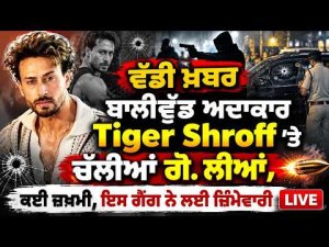 Tiger Shroff escapes unhurt : ਵੱਡੀ ਖ਼ਬਰ - ਬਾਲੀਵੁੱਡ ਅਦਾਕਾਰ Tiger Shroff 'ਤੇ ਚੱਲੀਆਂ ਗੋ. ਲੀਆਂ